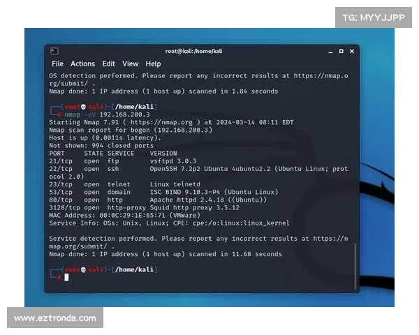 可能因新DNS漏洞导致显著的互联网中断 媒体 可能因新DNS漏洞导致显著的互联网中断 媒体